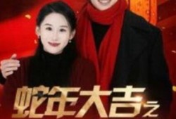 《蛇年大吉之女婿拜年（88集全）皮德胜＆丁磊》完整版高清免费观看