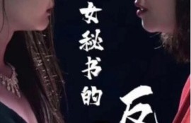 《女秘书的反攻（76集全）》完整版高清免费观看