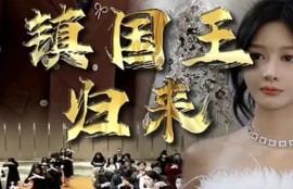 《镇国王归来（95集全）》完整版高清免费观看