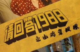 《请回答1988之野鸡变凤凰（81集全）》短剧免费全集夸克资源在线观看